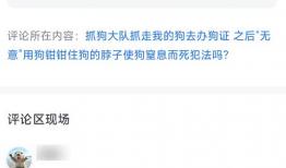 吃瓜爆料群微信号是什么,吃瓜爆料群微信号背后的神秘世界