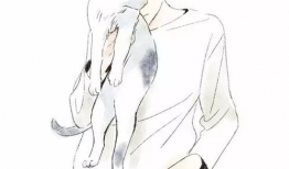 男插男漫画,漫画中的激情与羁绊