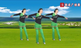 广场舞视频,广场舞视频中的活力与和谐